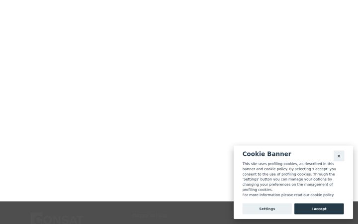 Screenshot of consorzioconsat.eu