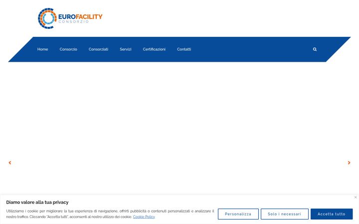 Captură de ecran a consorzioeurofacility.it
