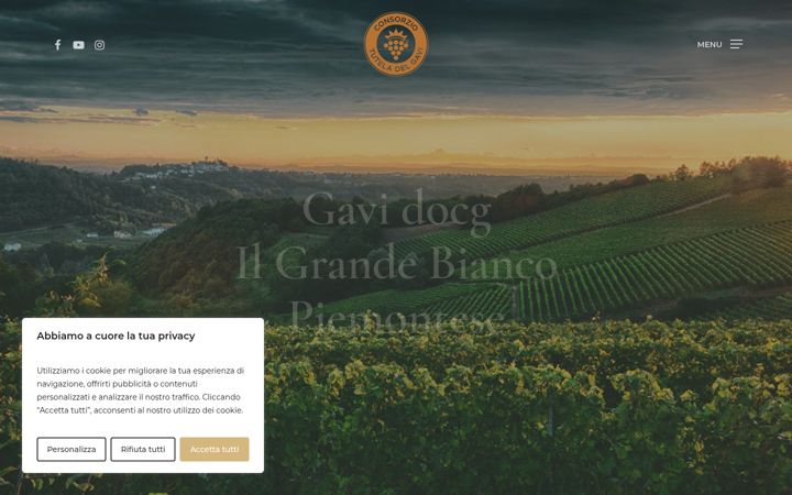 Screenshot of consorziogavi.com
