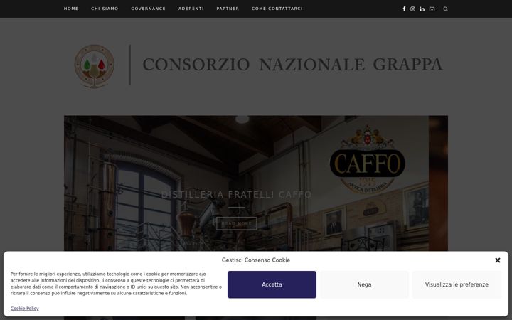 Екранна снимка на consorziograppa.it