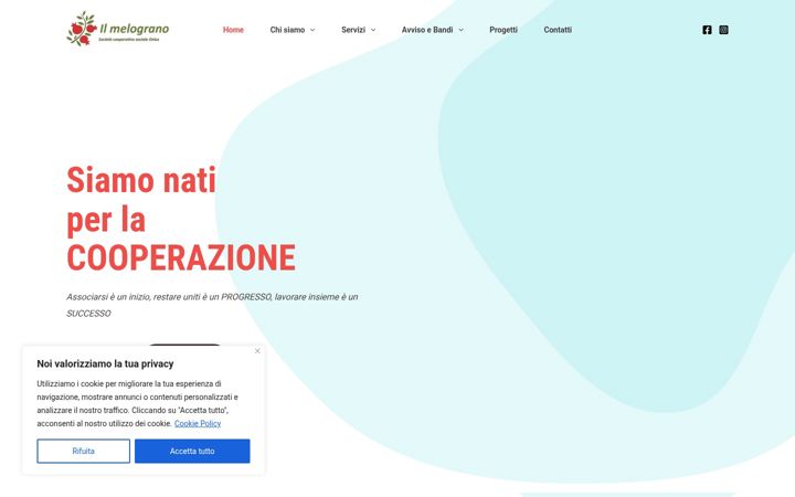 Екранна снимка на consorzioilmelograno.it
