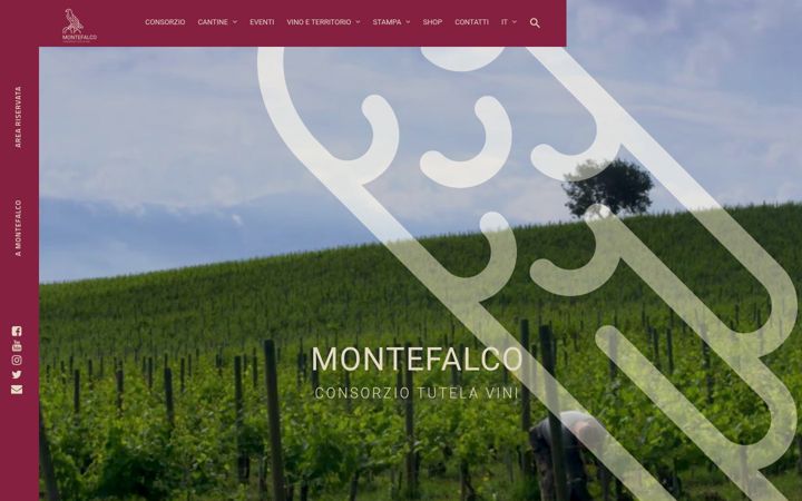 Ekrano kopija consorziomontefalco.it