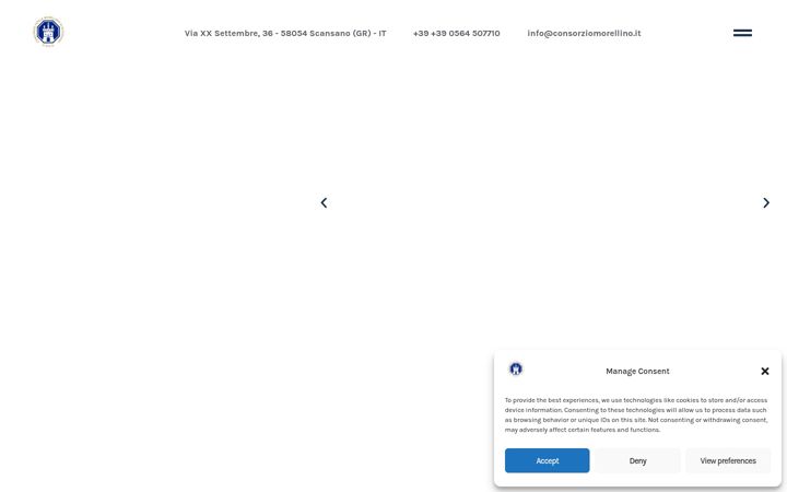 Ekrano kopija consorziomorellino.it
