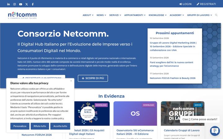Ekrano kopija consorzionetcomm.it
