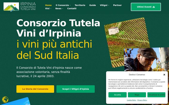 Screenshot of consorziovinidirpinia.it