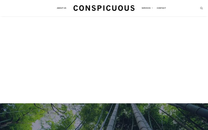 Screenshot of conspicuousmarketing.com