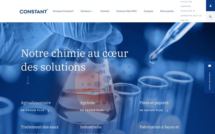 Screenshot of constantinternational.com