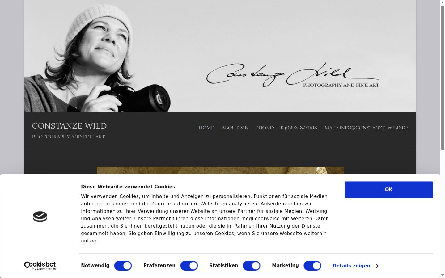 Screenshot of the consent banner shown before any interaction