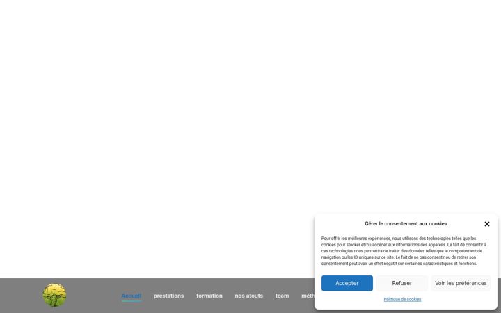 Screenshot of constellations-familiales.com