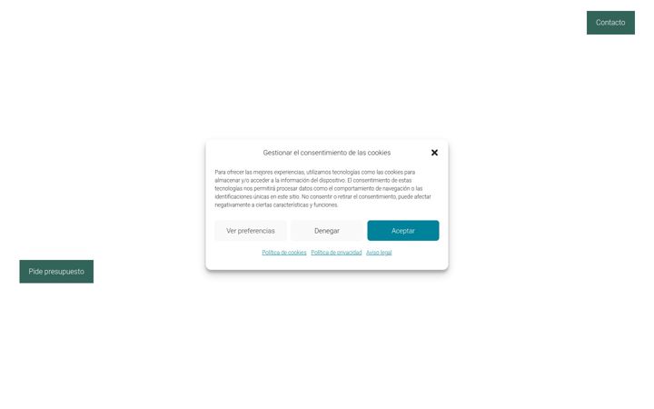 Screenshot ta' construccionesecobim.es
