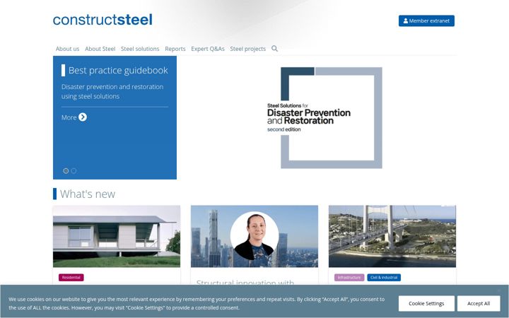 Screenshot di constructsteel.org