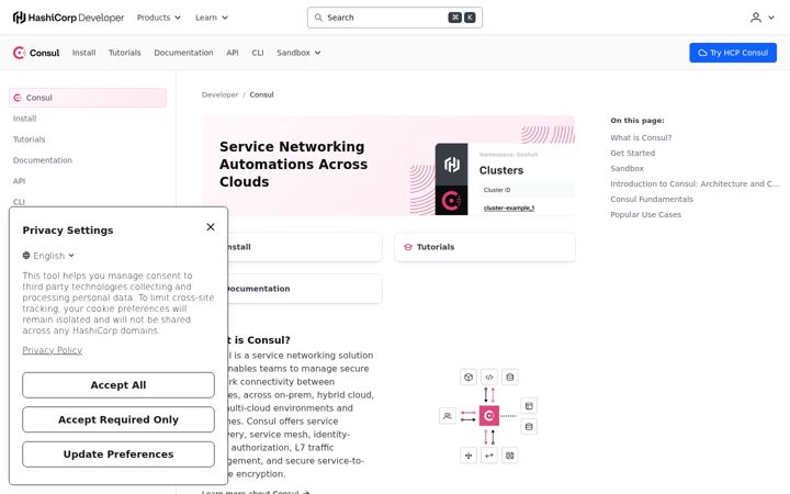 Screenshot of consul.io