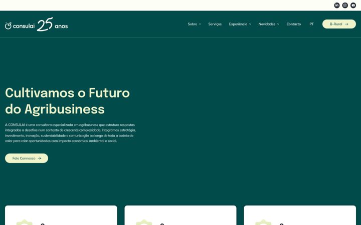 Screenshot of consulai.com