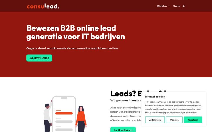 Screenshot of consulead.nl