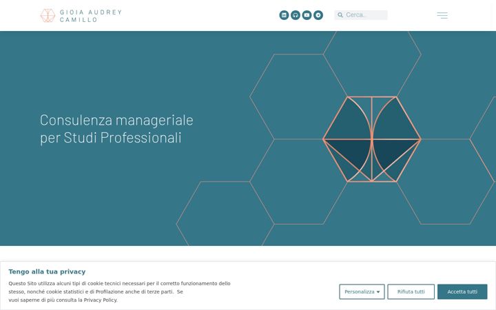 Screenshot of consulente.pro