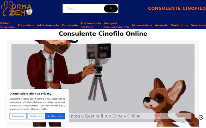 Ekrano kopija consulentecinofilo.it