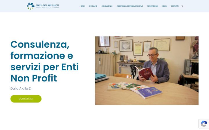 Screenshot of consulentenonprofit.it