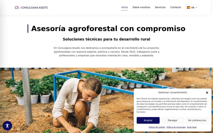 Screenshot of consulgana.com