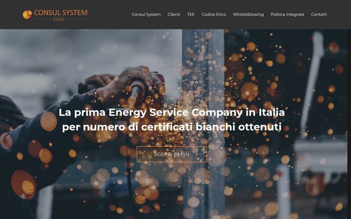 Screenshot of consulsystem.net