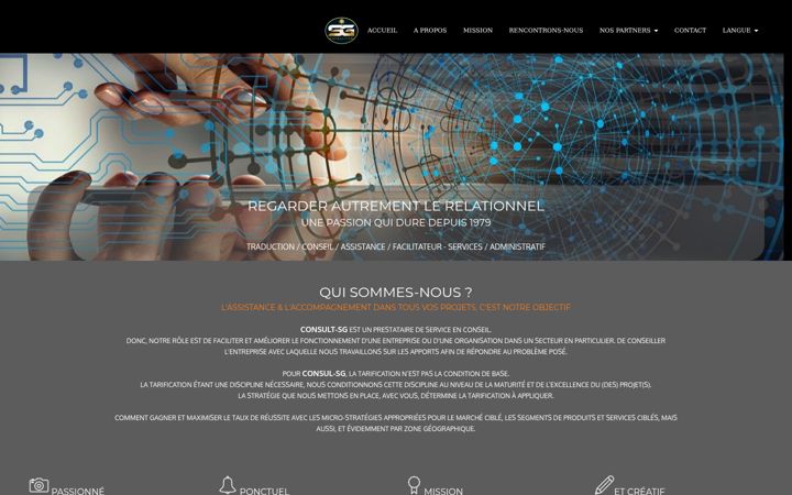 Screenshot of consult-sg.com