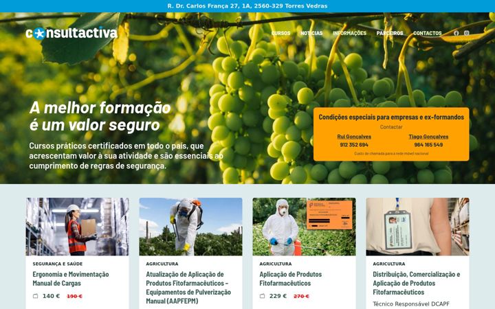 Screenshot of consultactiva.com