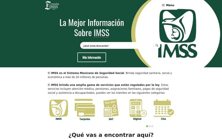 Screenshot of consultaimss.com