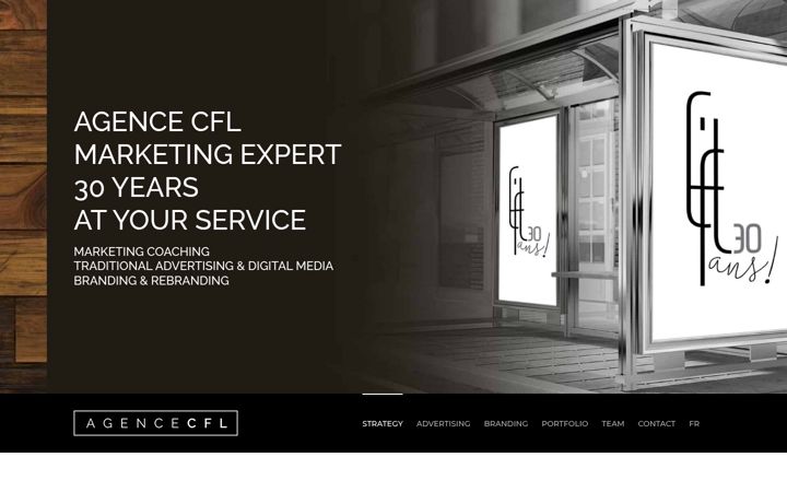 Screenshot von consultantmarketingcfl.ca