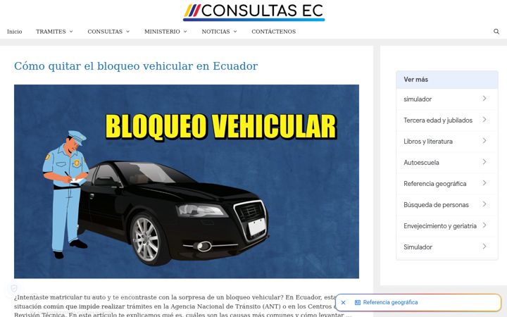 Screenshot of consultasec.com