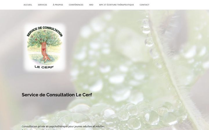 Screenshot of consultationlecerf.com