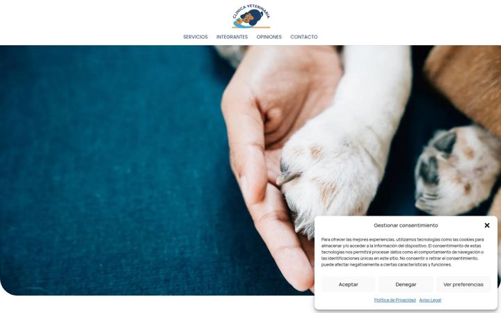 Screenshot of consultaveterinariaelu.com