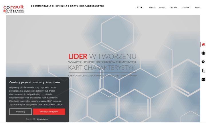 Screenshot of consultchem.pl