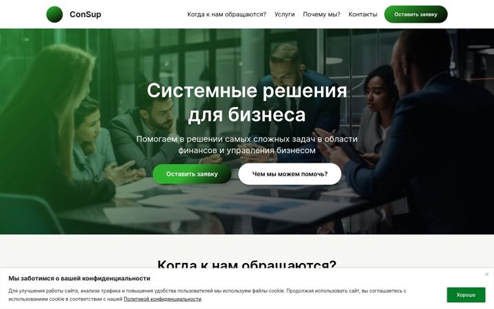 Screenshot ta' consulting-support.ru