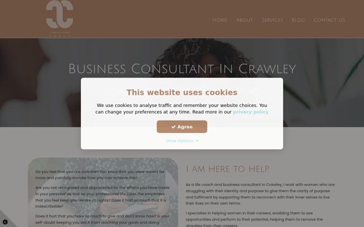 Screenshot of consultingcoach.co.uk