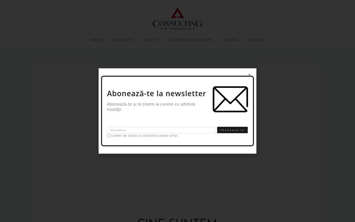 Screenshot van consultingforperformance.ro