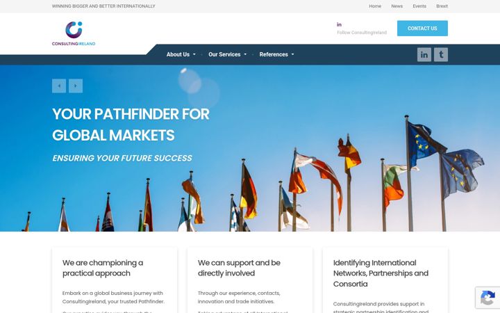 Screenshot of consultingireland.org