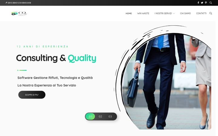 Screenshot ta' consultingquality.org