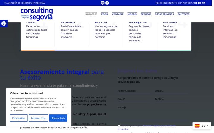 Screenshot of consultingsegovia.com