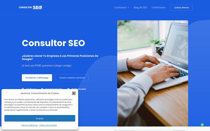 Screenshot of consultor-seo.org