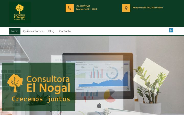 Screenshot of consultoraelnogal.net