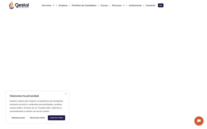 Screenshot of consultoragestal.com