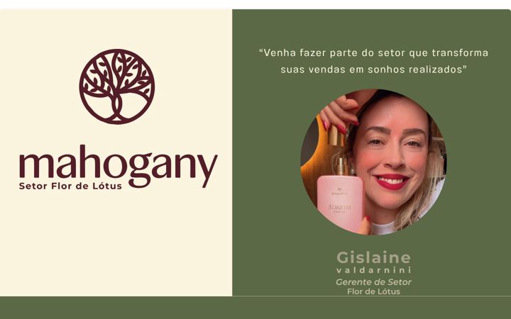 Screenshot of consultoramahogany.com.br