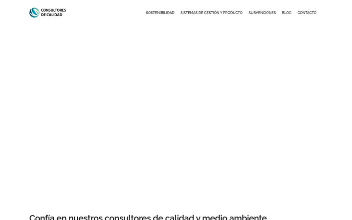 Screenshot of consultorcalidad.es