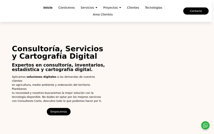Screenshot of consultorescarto.com