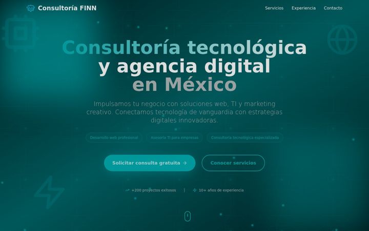 Screenshot of consultoriafinn.com
