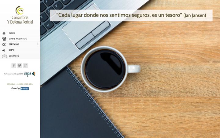 Screenshot of consultoriaydefensapericial.es