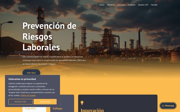 Screenshot of consultosst.com