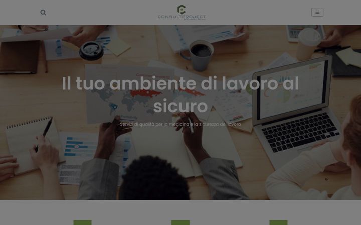 Screenshot of consultproject.net