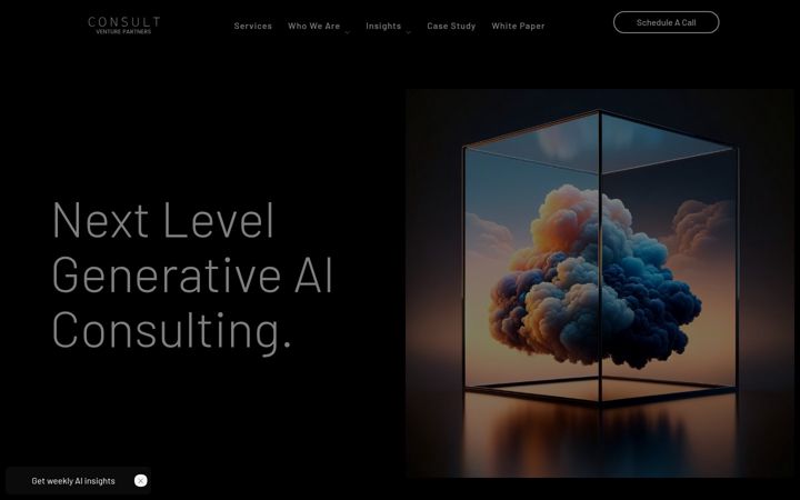 Screenshot of consultvp.com