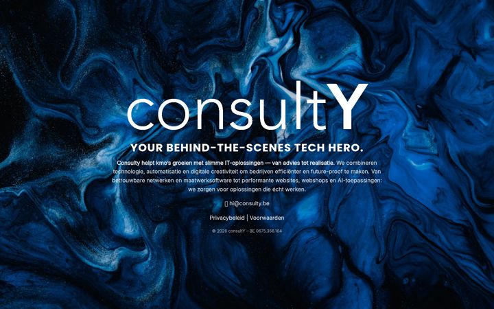 Screenshot of consulty.be