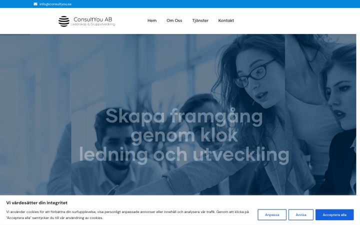 Screenshot of consultyou.se